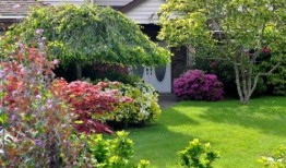 家庭花园爆料视频大全集,揭秘园艺达人私藏视频大全集